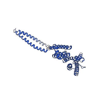 7537_6cnm_A_v1-3
Cryo-EM structure of the human SK4/calmodulin channel complex