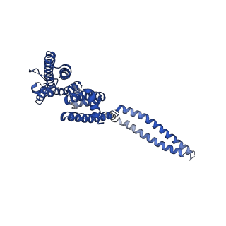 7537_6cnm_C_v1-2
Cryo-EM structure of the human SK4/calmodulin channel complex