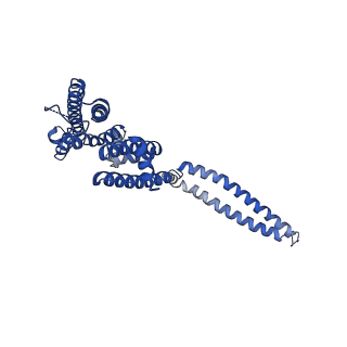 7537_6cnm_C_v1-3
Cryo-EM structure of the human SK4/calmodulin channel complex