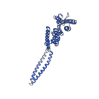 7537_6cnm_D_v1-2
Cryo-EM structure of the human SK4/calmodulin channel complex