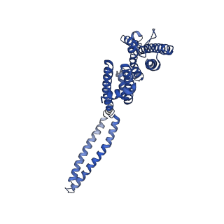 7537_6cnm_D_v1-3
Cryo-EM structure of the human SK4/calmodulin channel complex