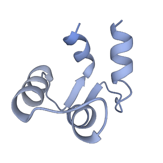 7537_6cnm_E_v1-2
Cryo-EM structure of the human SK4/calmodulin channel complex