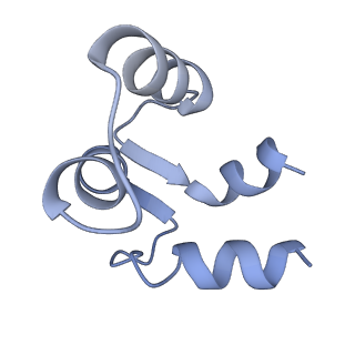 7537_6cnm_F_v1-2
Cryo-EM structure of the human SK4/calmodulin channel complex