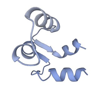 7537_6cnm_F_v1-3
Cryo-EM structure of the human SK4/calmodulin channel complex