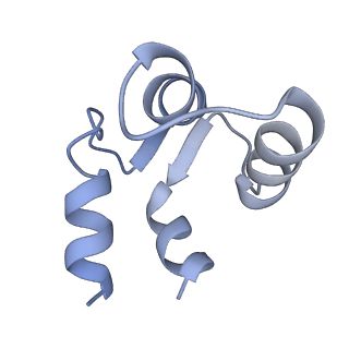 7537_6cnm_G_v1-2
Cryo-EM structure of the human SK4/calmodulin channel complex
