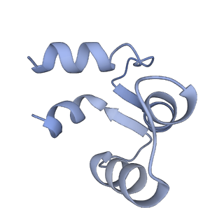7537_6cnm_H_v1-2
Cryo-EM structure of the human SK4/calmodulin channel complex