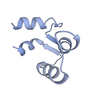 7537_6cnm_H_v1-3
Cryo-EM structure of the human SK4/calmodulin channel complex