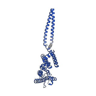 7538_6cnn_B_v1-2
Cryo-EM structure of the human SK4/calmodulin channel complex in the Ca2+ bound state I