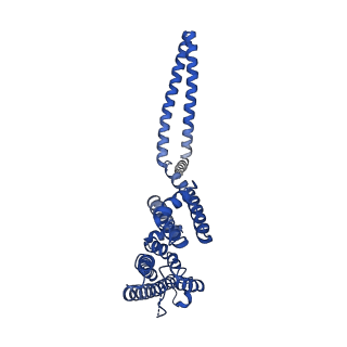 7538_6cnn_B_v1-3
Cryo-EM structure of the human SK4/calmodulin channel complex in the Ca2+ bound state I