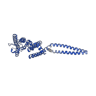7538_6cnn_C_v1-2
Cryo-EM structure of the human SK4/calmodulin channel complex in the Ca2+ bound state I