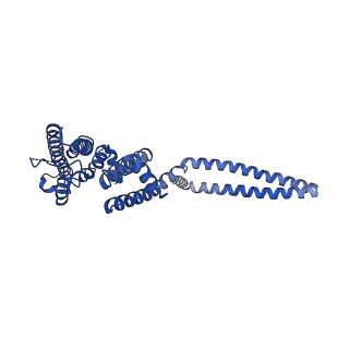 7538_6cnn_C_v1-3
Cryo-EM structure of the human SK4/calmodulin channel complex in the Ca2+ bound state I