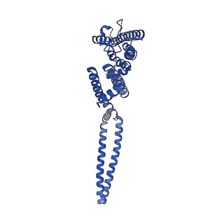 7538_6cnn_D_v1-2
Cryo-EM structure of the human SK4/calmodulin channel complex in the Ca2+ bound state I