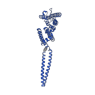 7538_6cnn_D_v1-3
Cryo-EM structure of the human SK4/calmodulin channel complex in the Ca2+ bound state I