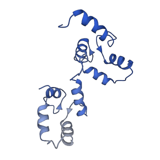 7538_6cnn_E_v1-2
Cryo-EM structure of the human SK4/calmodulin channel complex in the Ca2+ bound state I