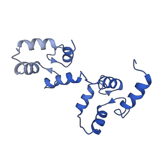 7538_6cnn_F_v1-2
Cryo-EM structure of the human SK4/calmodulin channel complex in the Ca2+ bound state I