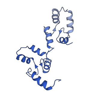 7538_6cnn_G_v1-2
Cryo-EM structure of the human SK4/calmodulin channel complex in the Ca2+ bound state I