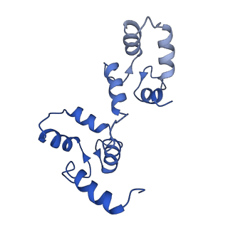 7538_6cnn_G_v1-3
Cryo-EM structure of the human SK4/calmodulin channel complex in the Ca2+ bound state I