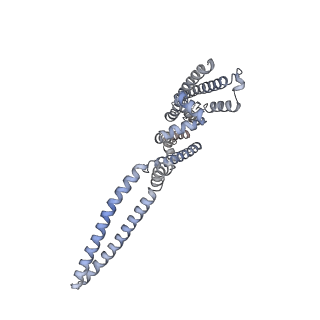 7539_6cno_A_v1-2
Cryo-EM structure of the human SK4/calmodulin channel complex in the Ca2+ bound state II