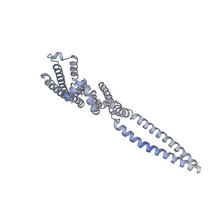 7539_6cno_B_v1-3
Cryo-EM structure of the human SK4/calmodulin channel complex in the Ca2+ bound state II