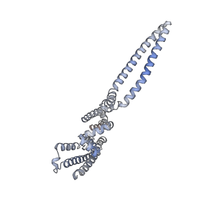 7539_6cno_C_v1-2
Cryo-EM structure of the human SK4/calmodulin channel complex in the Ca2+ bound state II