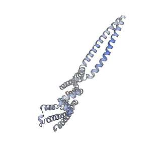 7539_6cno_C_v1-3
Cryo-EM structure of the human SK4/calmodulin channel complex in the Ca2+ bound state II