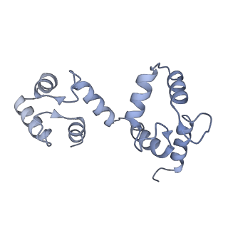 7539_6cno_E_v1-3
Cryo-EM structure of the human SK4/calmodulin channel complex in the Ca2+ bound state II