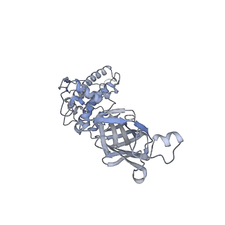 16772_8co6_n_v1-0
Subtomogram average of Immature Rotavirus TLP penton