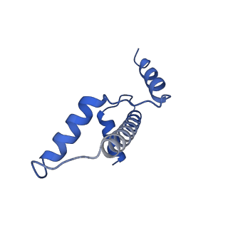 16777_8com_A_v1-2
Structure of the Nucleosome Core Particle from Trypanosoma brucei