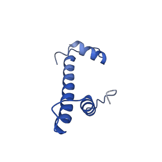 16777_8com_B_v1-2
Structure of the Nucleosome Core Particle from Trypanosoma brucei