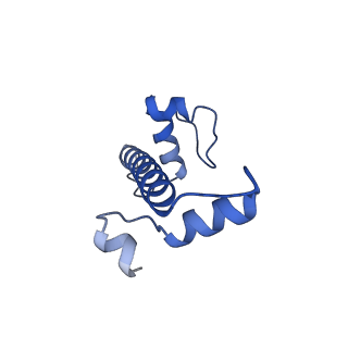 16777_8com_C_v1-2
Structure of the Nucleosome Core Particle from Trypanosoma brucei