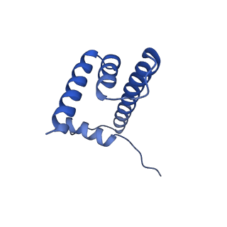 16777_8com_D_v1-2
Structure of the Nucleosome Core Particle from Trypanosoma brucei