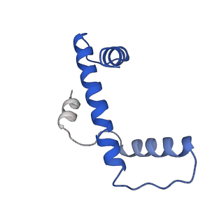 16777_8com_E_v1-2
Structure of the Nucleosome Core Particle from Trypanosoma brucei