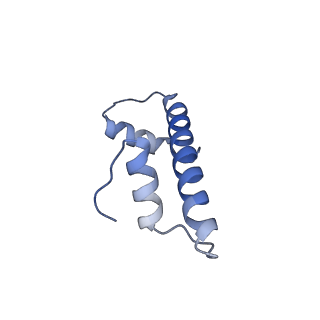 16777_8com_F_v1-2
Structure of the Nucleosome Core Particle from Trypanosoma brucei