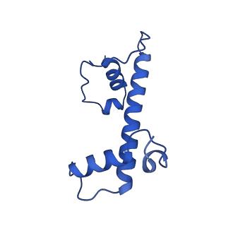 16777_8com_G_v1-2
Structure of the Nucleosome Core Particle from Trypanosoma brucei
