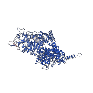 7542_6co7_A_v1-3
Structure of the nvTRPM2 channel in complex with Ca2+