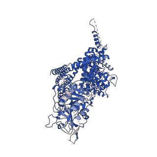 7542_6co7_B_v1-3
Structure of the nvTRPM2 channel in complex with Ca2+