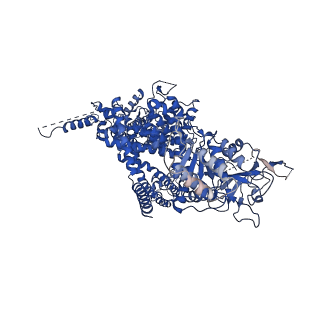 7542_6co7_C_v1-3
Structure of the nvTRPM2 channel in complex with Ca2+