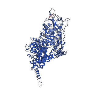 7542_6co7_D_v1-3
Structure of the nvTRPM2 channel in complex with Ca2+