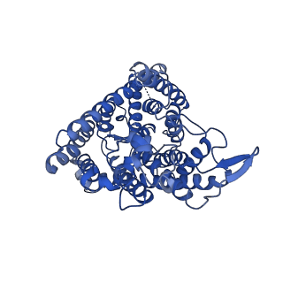 7544_6coy_A_v1-2
Human CLC-1 chloride ion channel, transmembrane domain