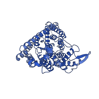 7544_6coy_A_v1-3
Human CLC-1 chloride ion channel, transmembrane domain