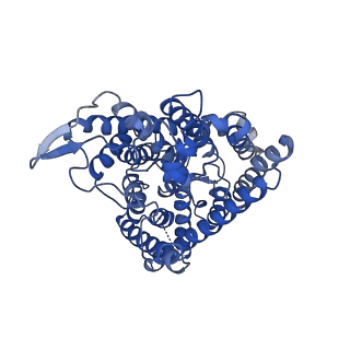 7544_6coy_B_v1-2
Human CLC-1 chloride ion channel, transmembrane domain