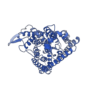 7544_6coy_B_v1-3
Human CLC-1 chloride ion channel, transmembrane domain