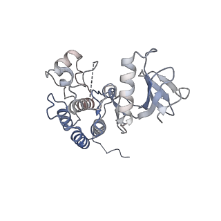 16779_8cpd_B_v1-1
Cryo-EM structure of CRaf dimer with 14:3:3