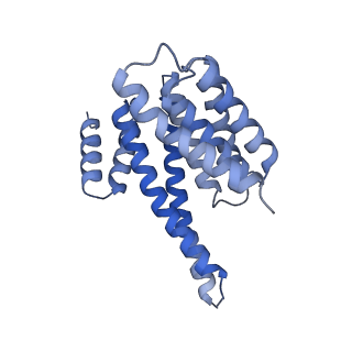 16779_8cpd_C_v1-1
Cryo-EM structure of CRaf dimer with 14:3:3