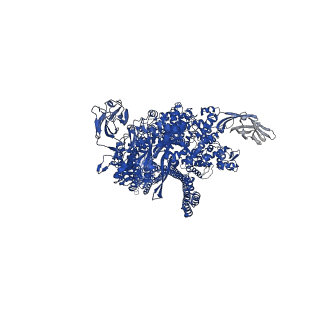 16791_8cpz_B_v1-0
Photorhabdus luminescens TcdA1 prepore-to-pore intermediate, K1179W mutant