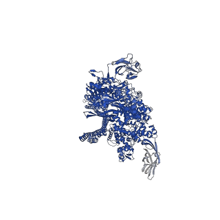 16791_8cpz_C_v1-0
Photorhabdus luminescens TcdA1 prepore-to-pore intermediate, K1179W mutant