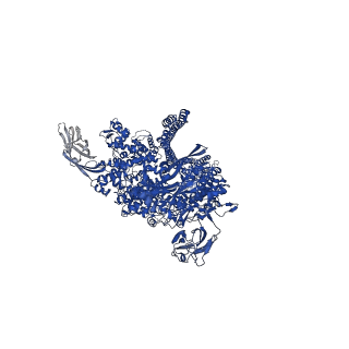 16791_8cpz_E_v1-0
Photorhabdus luminescens TcdA1 prepore-to-pore intermediate, K1179W mutant