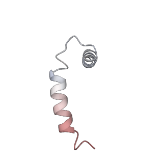 30421_7cp9_C_v1-1
Cryo-EM structure of human mitochondrial translocase TOM complex at 3.0 angstrom.