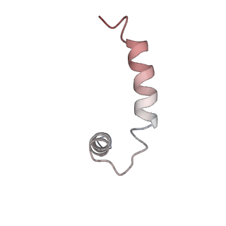 30421_7cp9_D_v1-1
Cryo-EM structure of human mitochondrial translocase TOM complex at 3.0 angstrom.