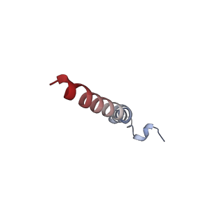 30421_7cp9_E_v1-0
Cryo-EM structure of human mitochondrial translocase TOM complex at 3.0 angstrom.